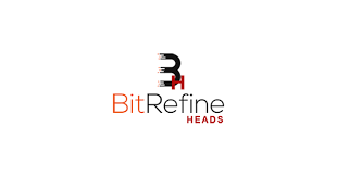 BitRefine Heads