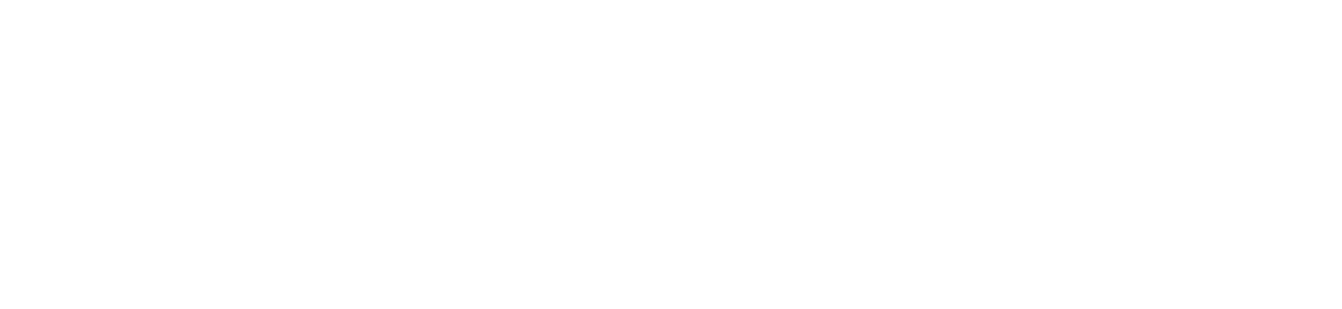 Orca