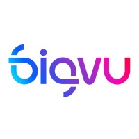 BigVU