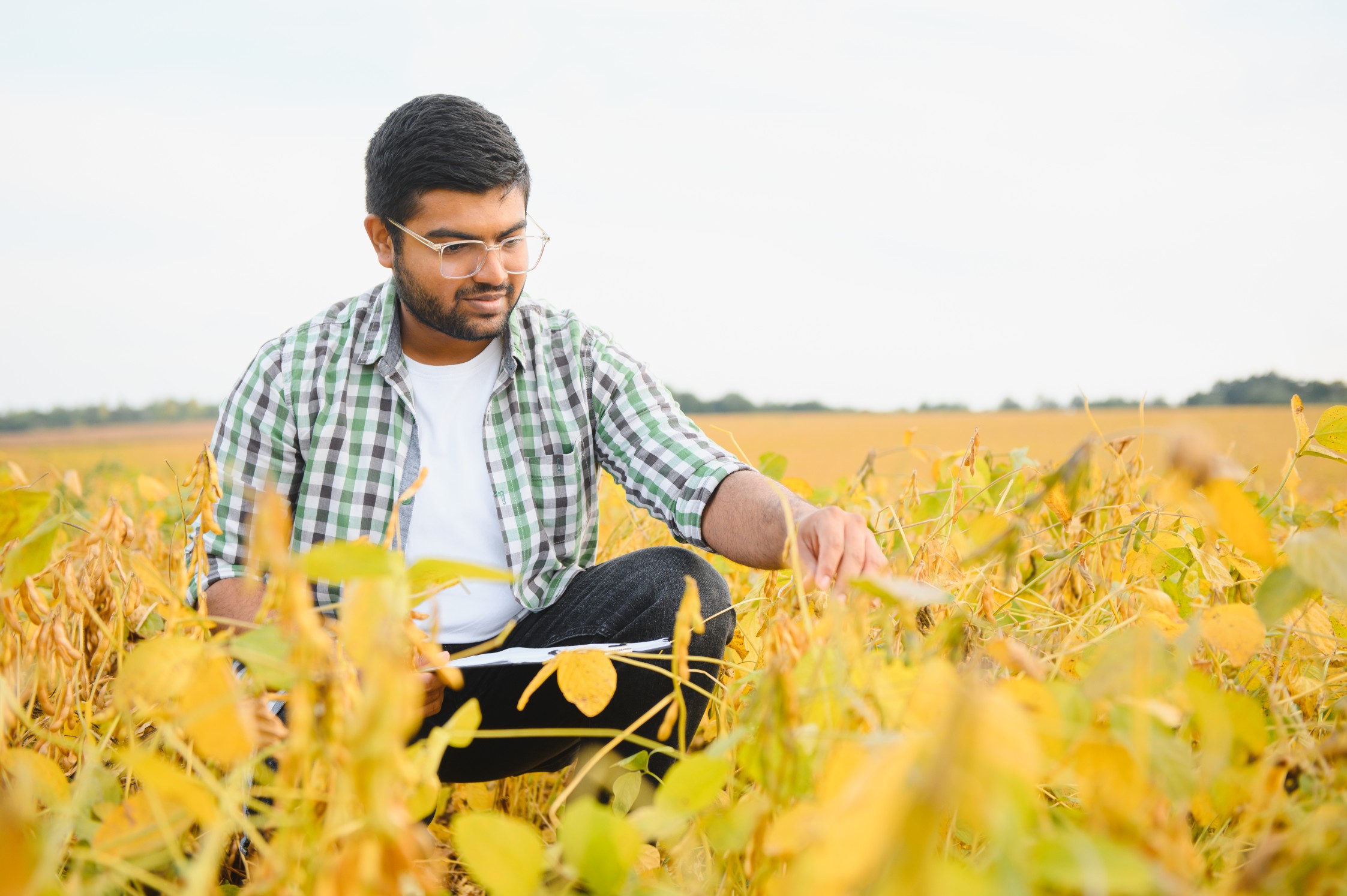 Boosting Crop Yields with AI: A Step-by-Step Guide for Farmers