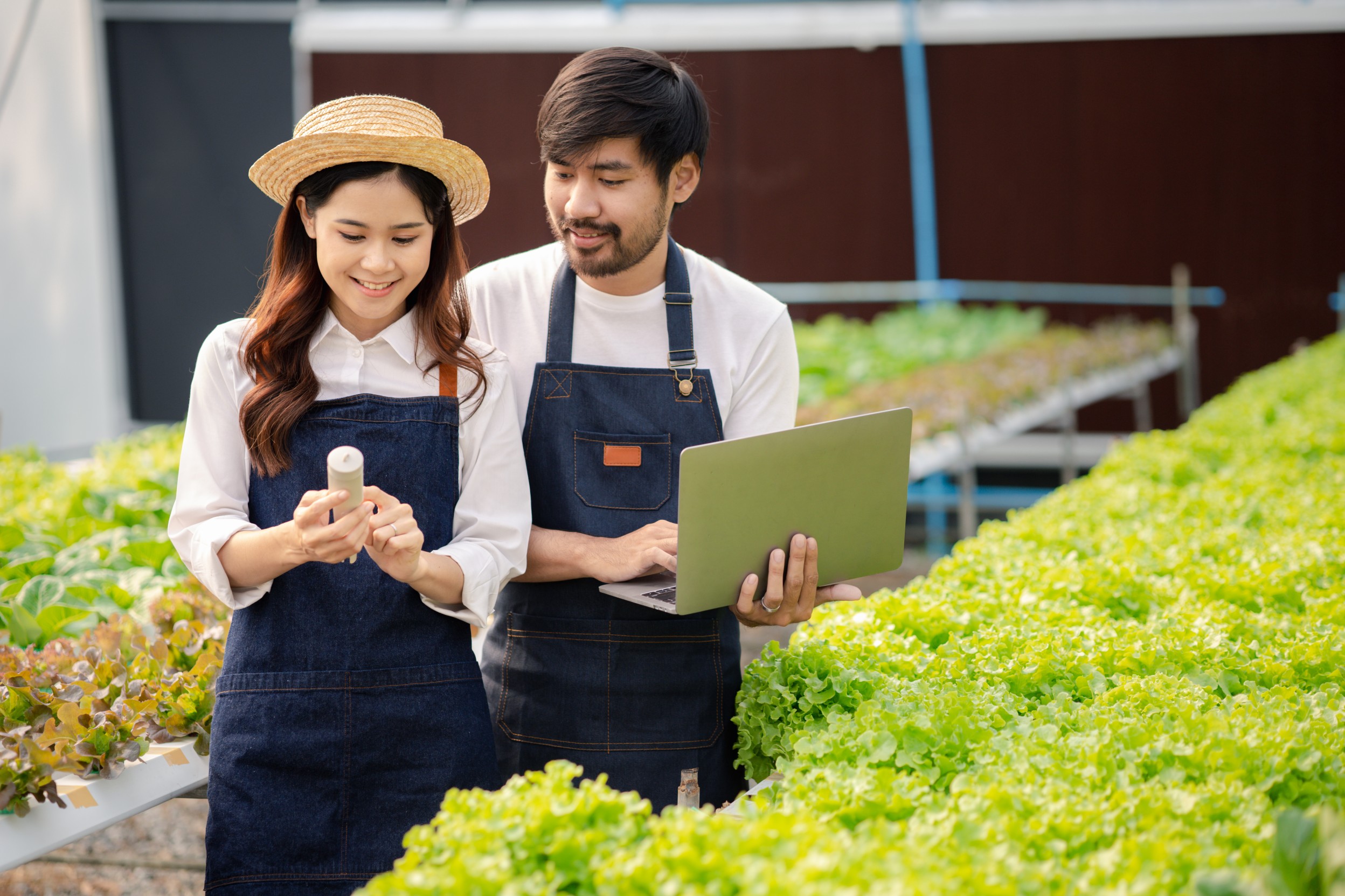 Reducing Farm Operational Costs with AI: An Agritech CTO’s Blueprint for Smarter Agriculture