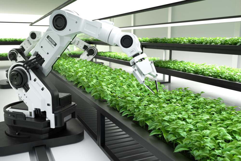 Unlocking the Future of Crop Production: The Role of Sustainable and Technological Innovations